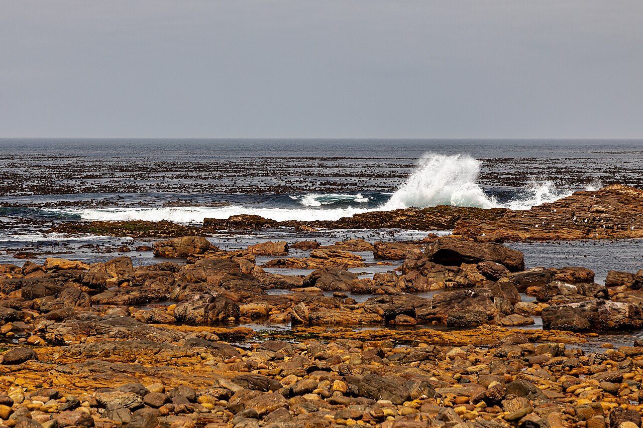Cape of Good Hope