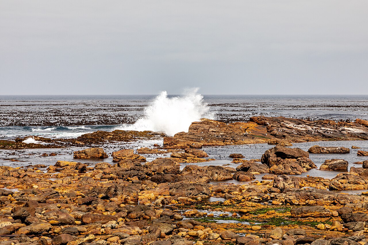 Cape of Good Hope