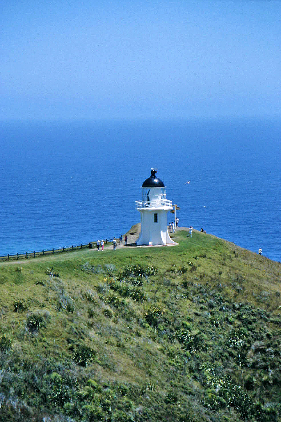 Cape Reinga